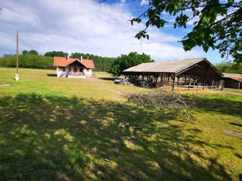 Eladó Ház 2377 Örkény Tágas földbirtok, 80 m²-es otthonnal!!