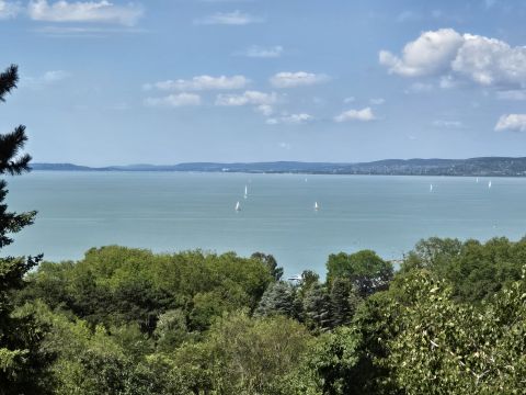Eladó Ház 8172 Balatonakarattya , örökpanorámás faház