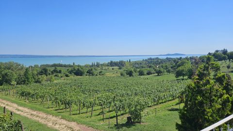 Eladó Ház 8255 Balatonrendes , BALATONI PANORÁMÁS VINCELLÉR HÁZ