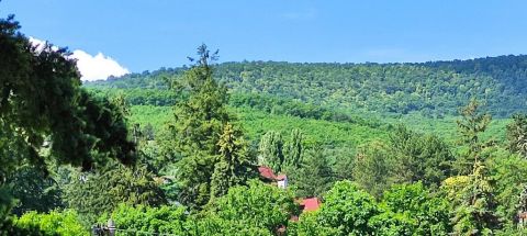 Eladó Ház 2016 Leányfalu , Leányfalu, Gyulai pál u 1