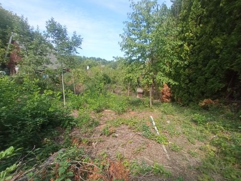 Eladó Telek 2051 Biatorbágy 