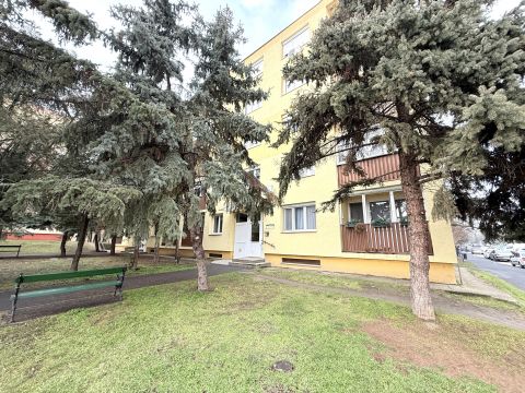 Eladó Lakás 2440 Százhalombatta , 3 szobás, erkélyes, panelprogramos földszinti lakás