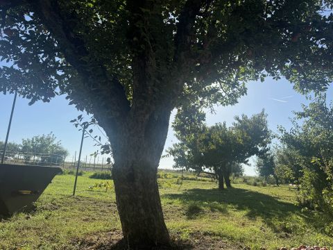Eladó Telek 8086 Felcsút , PANORÁMÁS telek Felcsúton
