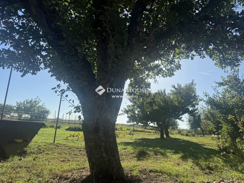 8086 Felcsút , PANORÁMÁS telek Felcsúton — 1/10