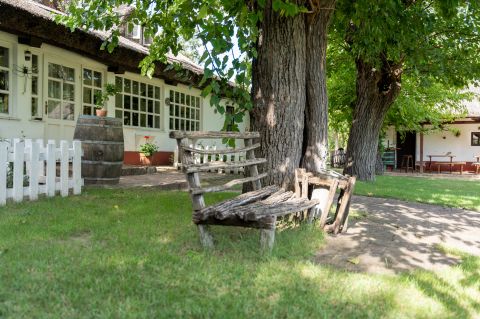 Eladó Ház 2381 Táborfalva , Csodás Tanya Pestmegye határában