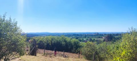 Eladó Telek 7628 Pécs 