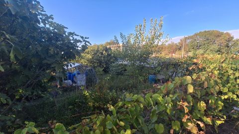 Eladó Ház 2458 Kulcs Vízpart közeli nyaraló