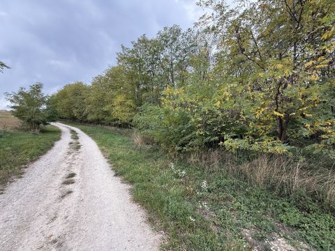 Eladó Telek 2536 Nyergesújfalu 