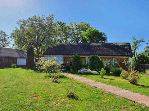 Eladó Ház 6050 Lajosmizse Lajosmizse külterületén eladó TANYA telephellyel 