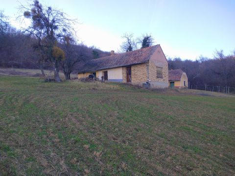 Eladó Ház 8795 Zalaszentgrót 