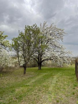 Eladó Telek 2030 Érd 2030 Érd, érd