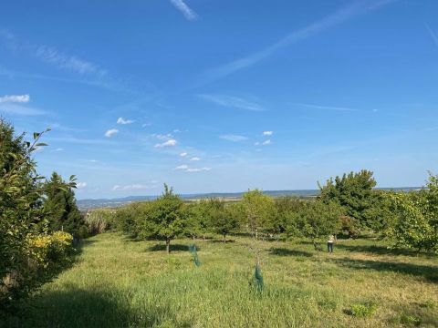 Eladó Telek 2091 Etyek , Etyek Akona u 