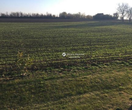 Eladó Telek 8626 Teleki , Építési telek!