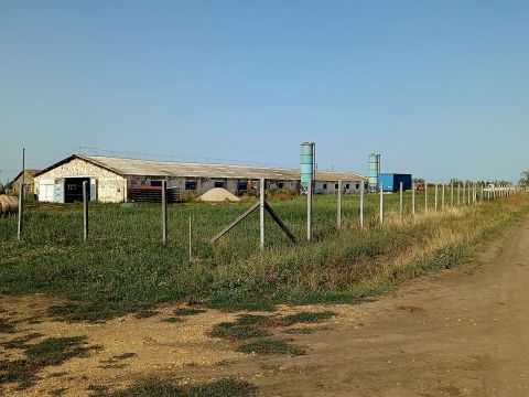 Kiadó Mezőgazdasági 4171 Sárrétudvari 