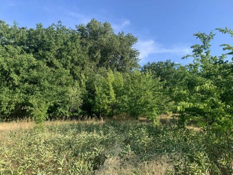 Eladó Telek 2769 Tápiószőlős 2769 Tápiószőlős, Külterület