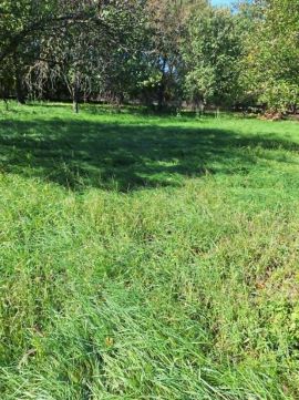 Eladó Telek 6600 Szentes , Építési telek Szentesen, a Kurca-csend, napfény