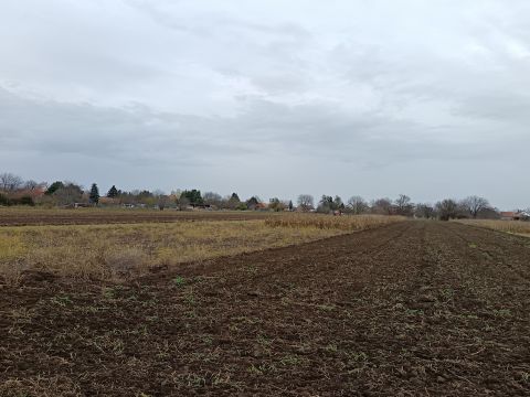 Eladó Telek 8651 Balatonszabadi , Belterületi telek!