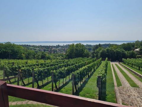 Eladó Ház 8256 Ábrahámhegy 