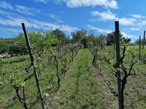 Eladó Ház 2060 Bicske 