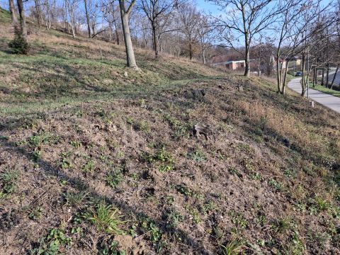 Eladó Telek 2064 Csabdi 