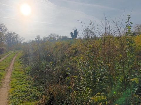 Eladó Telek 8798 Zalabér 