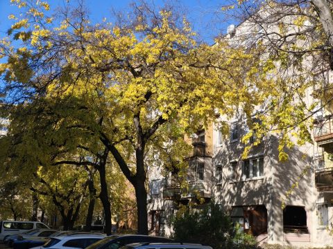 Eladó Lakás 1195 Budapest 19. kerület 19.ker. Budapest Báthory utca 