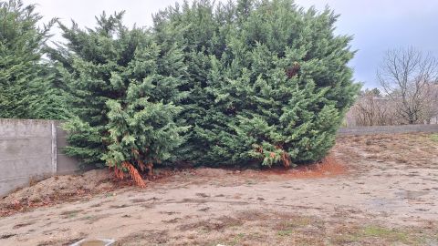 Eladó Telek 1164 Budapest 16. kerület , Építési telek frekventált helyen Cinkotán eladó