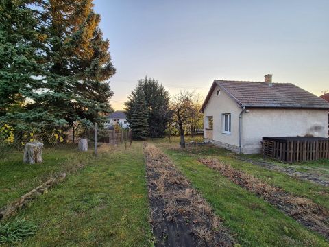 Eladó Ház 2113 Erdőkertes Szép állapotú önálló kis ház