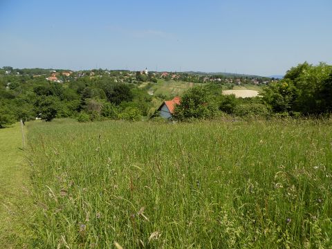 Eladó Telek 8394 Alsópáhok 