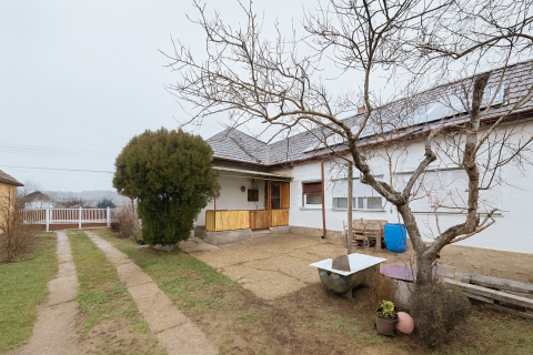 Eladó Ház 2118 Dány 