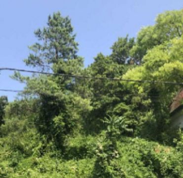 Eladó Telek 1028 Budapest 2. kerület , 1028 Budapest 2, Remetekertváros