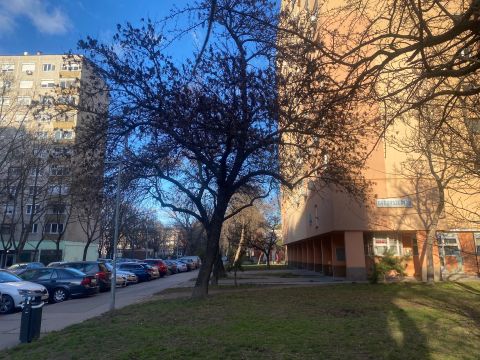 Eladó Lakás 1035 Budapest 3. kerület , ***PANELPROGRAMOS házban, 3 szobás, világos lakás eladó***