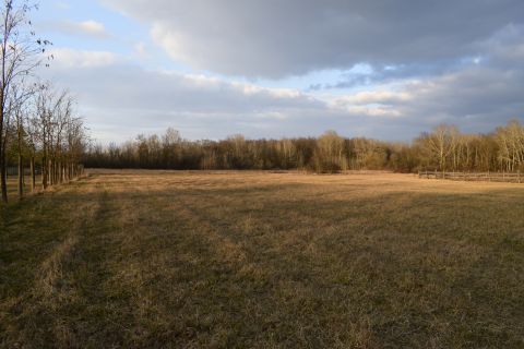 Eladó Telek 4002 Debrecen 