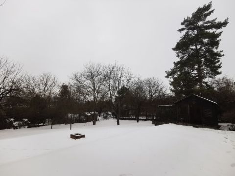 Eladó Telek 2092 Budakeszi , Erdő közeli telek kis faházikóval