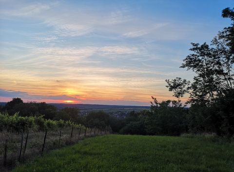 Eladó Ház 8994 Kávás 