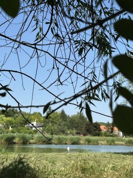 Eladó Telek 8656 Nagyberény , Belső-Szőlőhegy