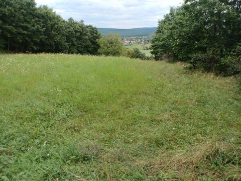 Eladó Mezőgazdasági 8089 Vértesacsa 