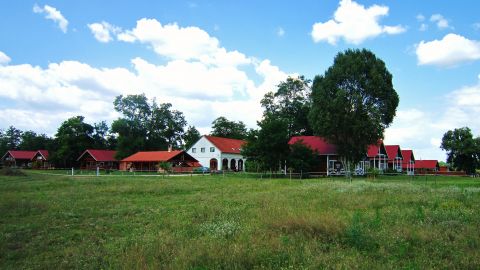 Eladó Vendéglátás 2724 Újlengyel , Hat hektáros természetközeli birtok Budapest közelében