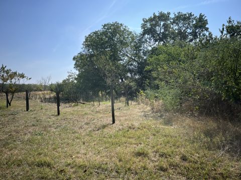 Eladó Ház 6000 Kecskemét Felújítandó házszámos tanya 2843nm telken