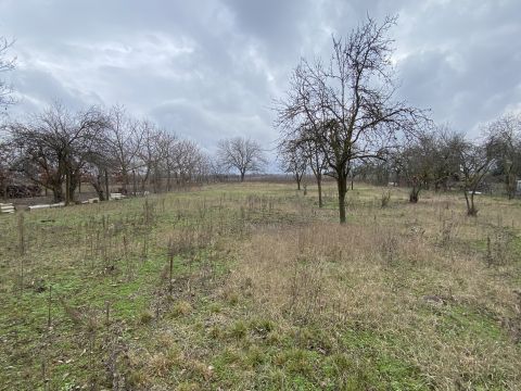 Eladó Telek 5600 Békéscsaba Avar