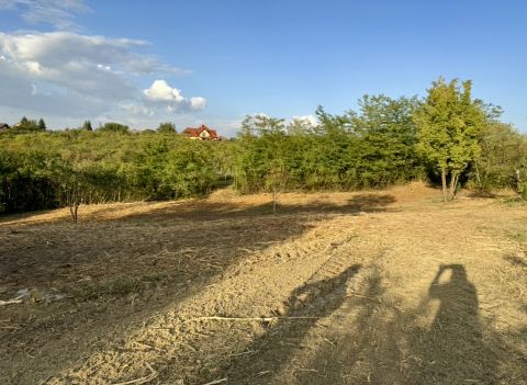 Eladó Telek 2162 Őrbottyán , Két építési telek Őrbottyán központi részén