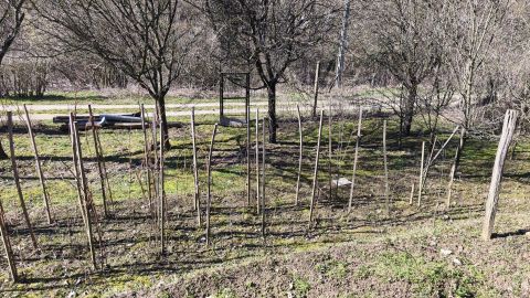 Eladó Telek 7831 Pellérd , Pellérdi szőlőhegy