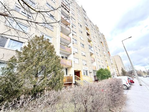 Eladó Lakás 2120 Dunakeszi 