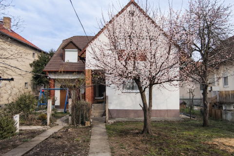 Kiadó Ház 7623 Pécs , Egyetemváros