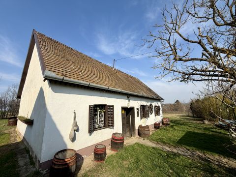 Eladó Ház 7833 Görcsöny Görcsöny Zártkert
