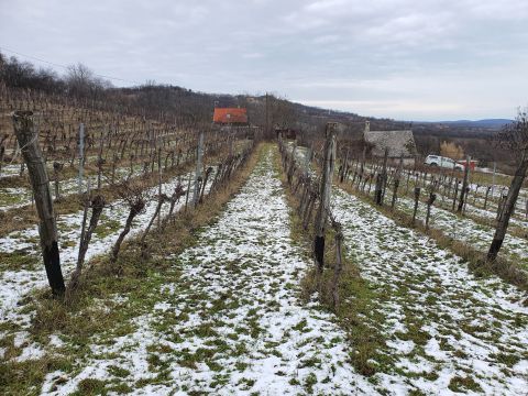 Eladó Telek 8245 Pécsely 