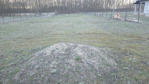 Eladó Telek 2713 Csemő , Nincs utca