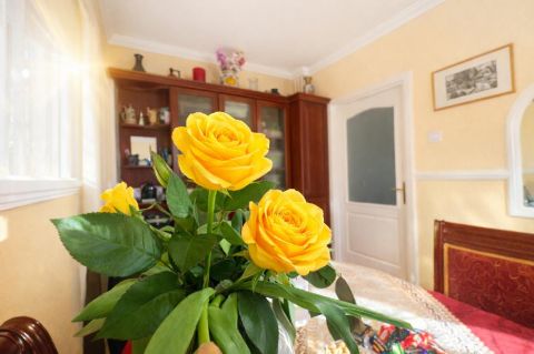 Eladó Lakás 4002 Debrecen 4031 Debrecen, belterület