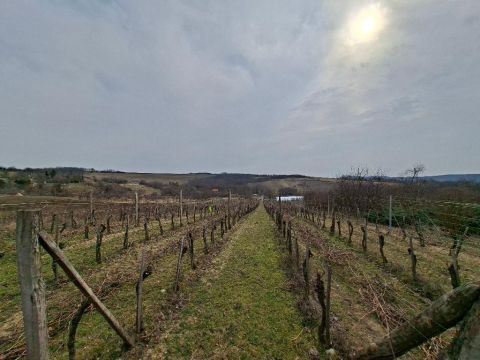 Eladó Telek 8093 Lovasberény , 8093 Lovasberény, Csendes