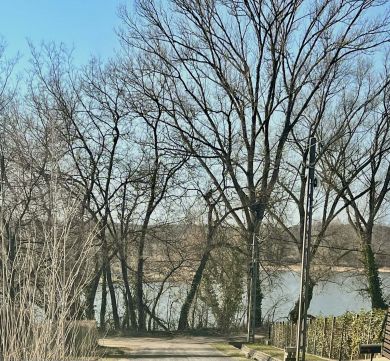 Eladó Ház 2162 Őrbottyán 